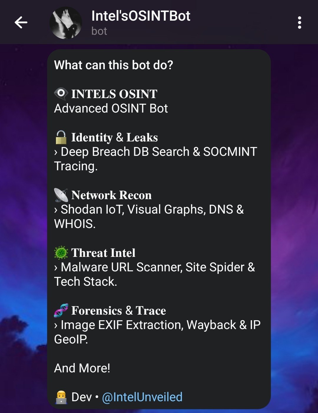 Intel OSINT Bot Features